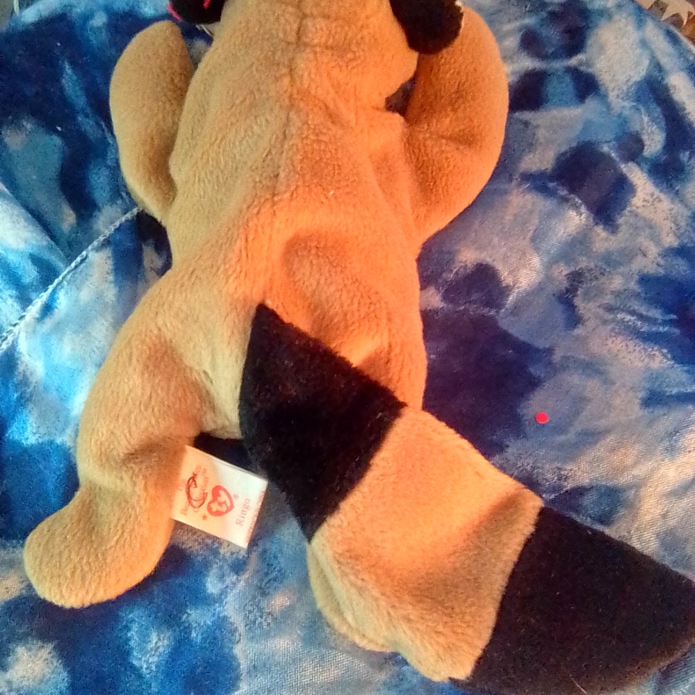 Ty beanie Ringo Raccoon 1996' PVC ERRORS - Picture 2 of 13